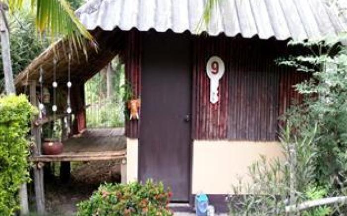 Rainbow House