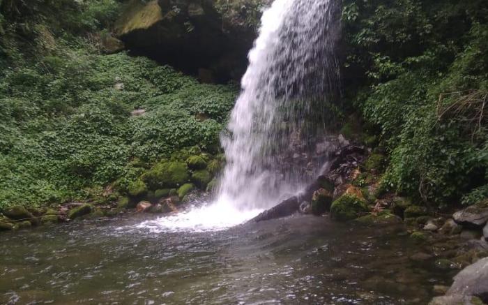 Wild Vairage Cottage - Tirthan Valley