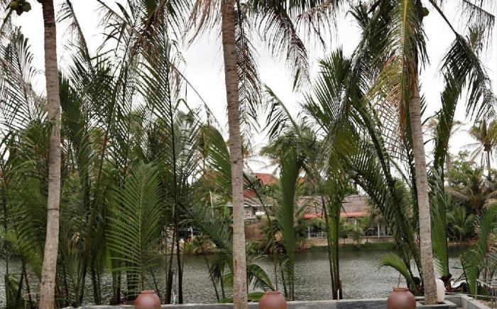 Hoi An Coco Farm