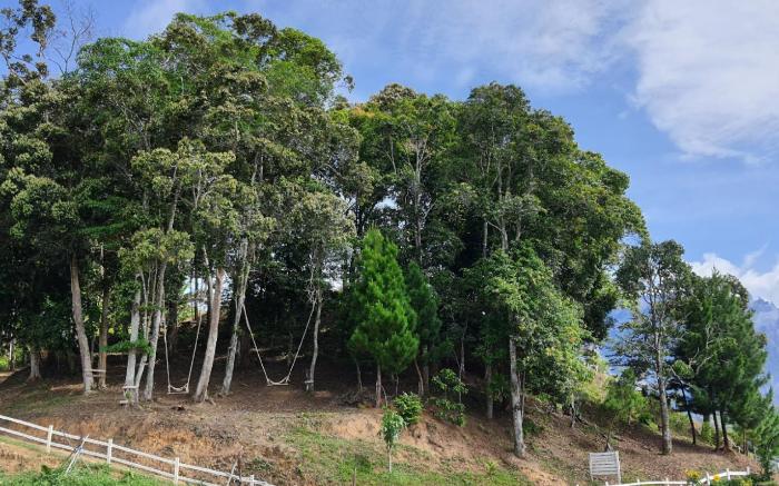 The Hill Kinabalu