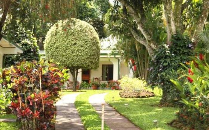 Hotel La Rosa de America