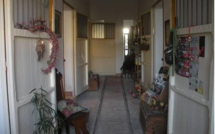 Casa del Geco