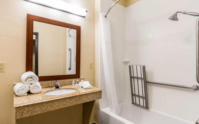 Comfort Inn & Suites IAH Bush Airport - East
