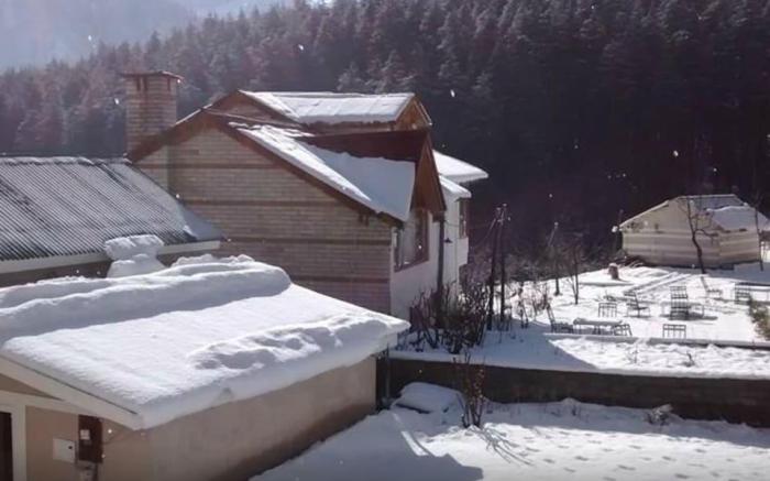 Hotel The Conifer