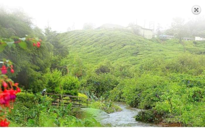 Hotel C7 Munnar