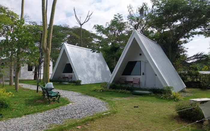 It my life cafe x camp