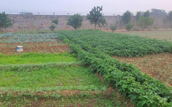 BnBBuddy FarmHouse,Gurugram
