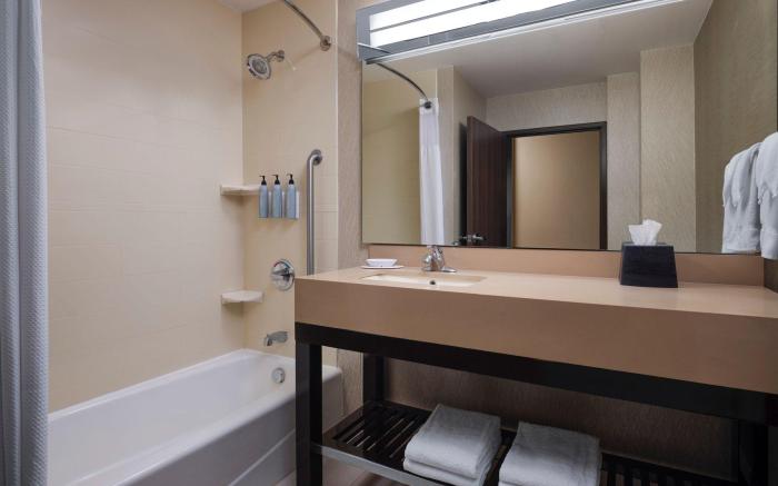 Courtyard by Marriott Dallas DFW Airport North/Grapevine