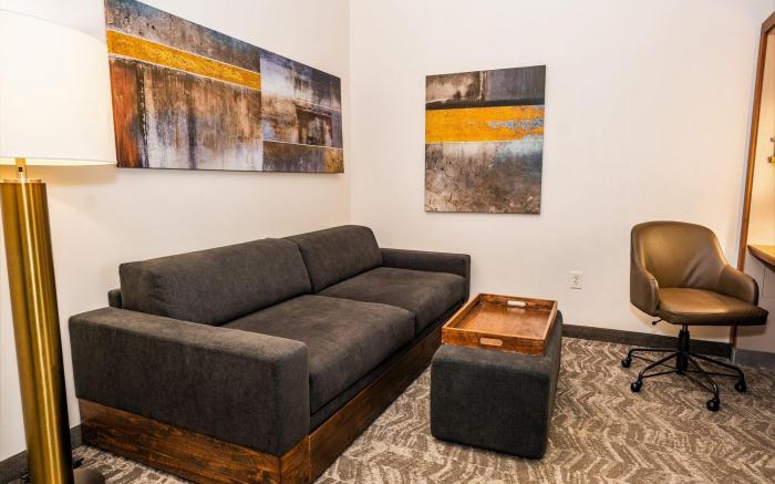 SpringHill Suites San Antonio Alamo Plaza/Convention Center