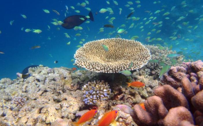 Whiteshell Island Hotel & Spa at Maafushi