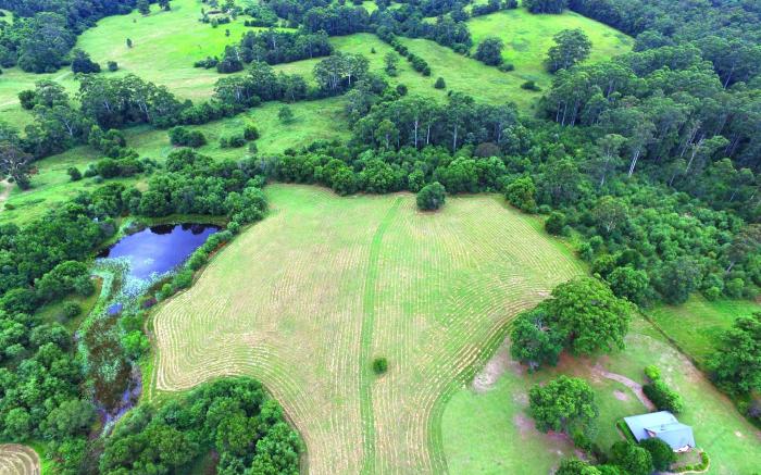Clarendon Forest Retreat