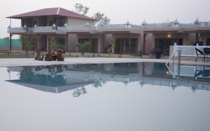 Ranthambhore Pride