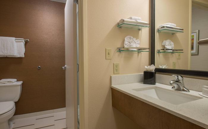 Fairfield by Marriott Inn & Suites Dallas Lewisville