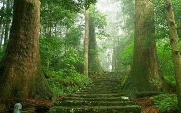 Hotel The Grand Court Matsusaka