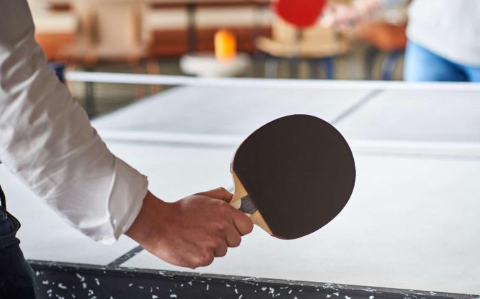 ibis Loriol Le Pouzin