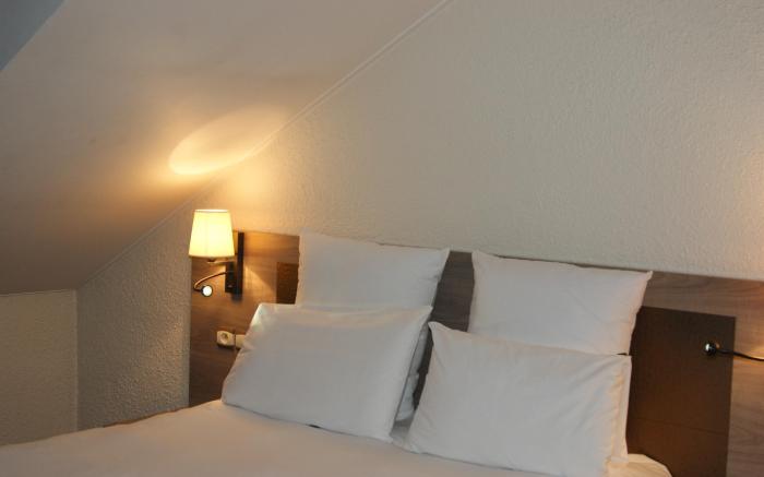 Hotel Mercure Annecy Centre