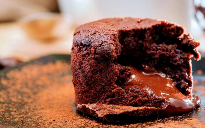 ibis Dieppe Val Druel