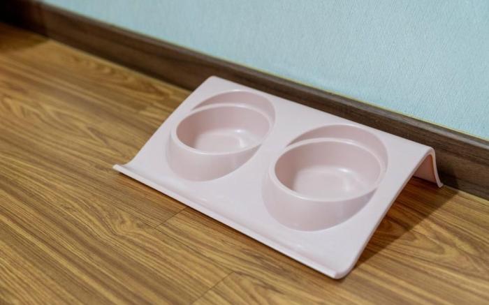 Yeoncheon With Dog Dog Pool Villa