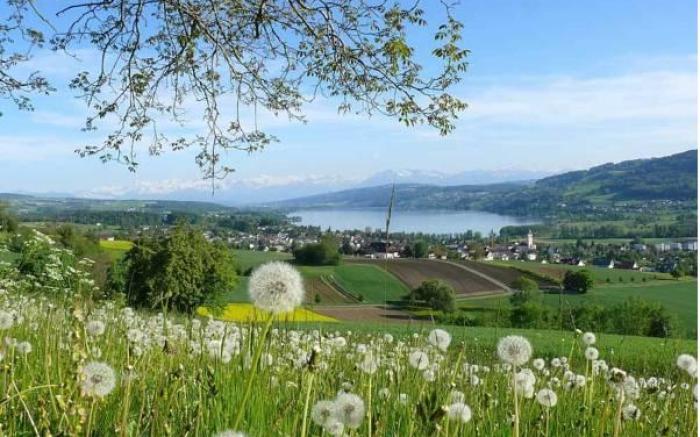 Hotel Restaurant Eichberg