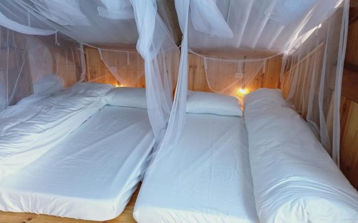 Tổ Ếch Homestay