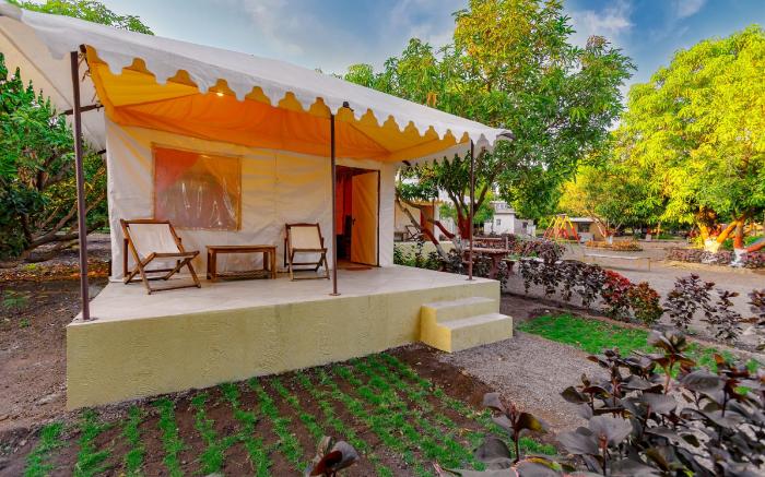 Amber ReSort