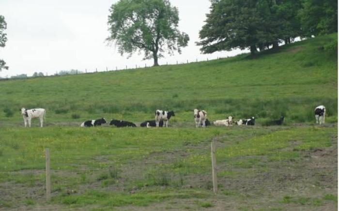 Dunroamin Bed & Breakfast