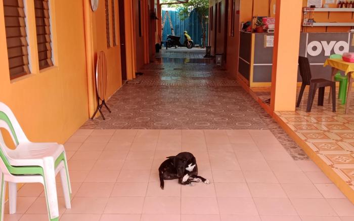 Jessa 5 guests house