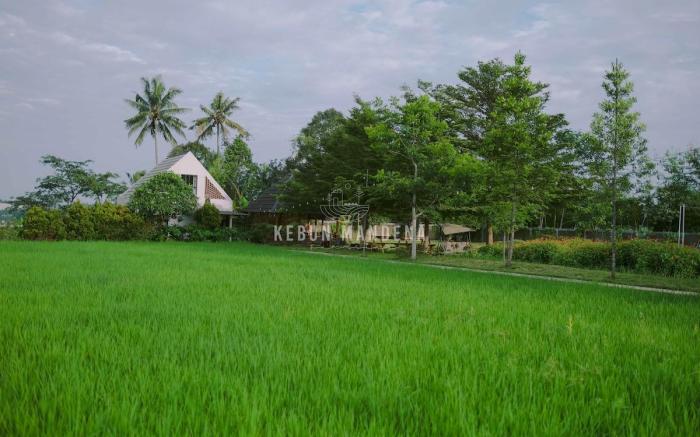 Kebun mandena farmstay