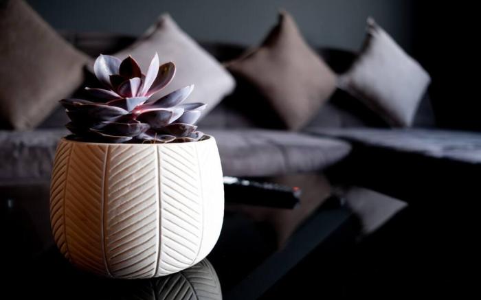 Studio Fayence - EMMA, Netflix, WiFi