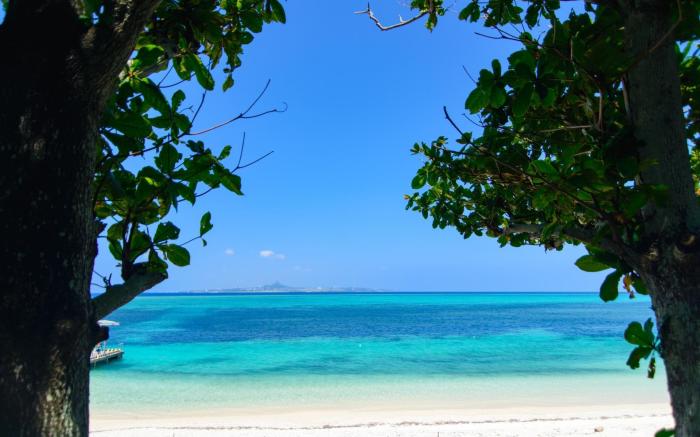 ADAN RESORT Fu