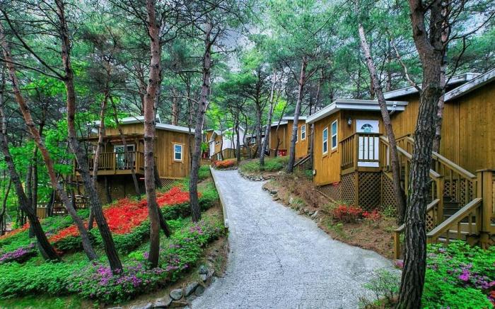 Hoengseong Couple Star in Porest Pension