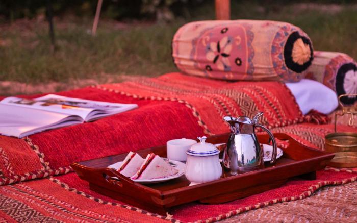 Sawai Shivir Ranthambore by TUTC