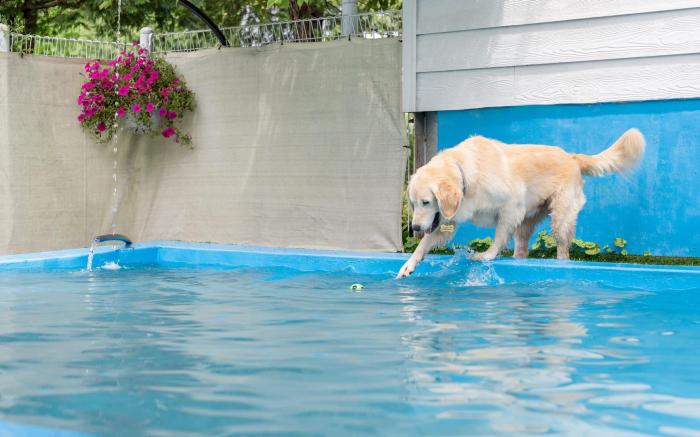 Gapyeong Jmong Choncance&Camping Pension