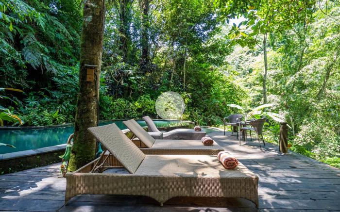 A stunning antique style & a nature sanctuary
