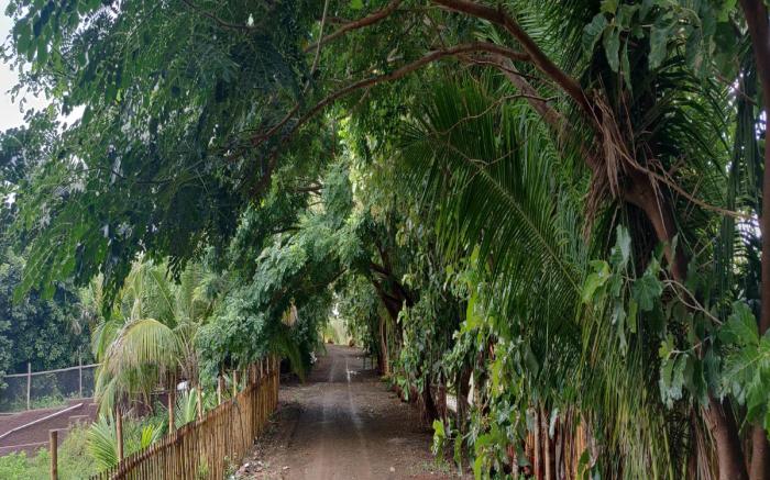 Aranyagiri Countryside Resort, Near Pune