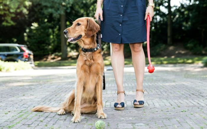 Hotel Parkzicht Eindhoven