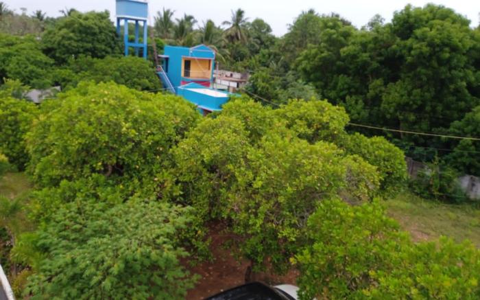 Paradise Forest Resort 