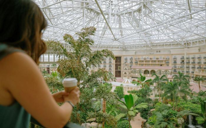 Gaylord Palms Resort & Convention Center