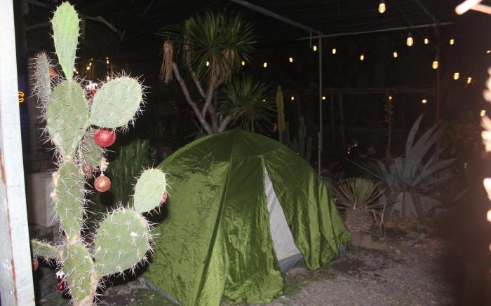 Cactos Bar & Homestay