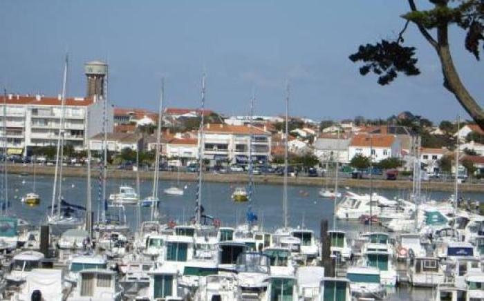 TERNELIA Le Vent Du Large