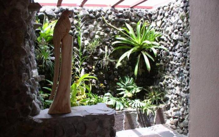 Lost Iguana Resort and Spa