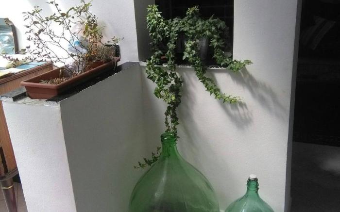 010025-lt-0928 Rooftop Favors