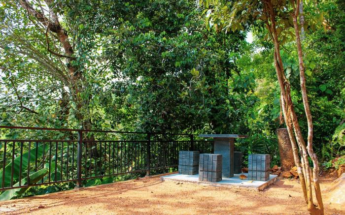 Rainforest Border Edge