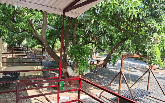 Dev Farm Sasan Gir