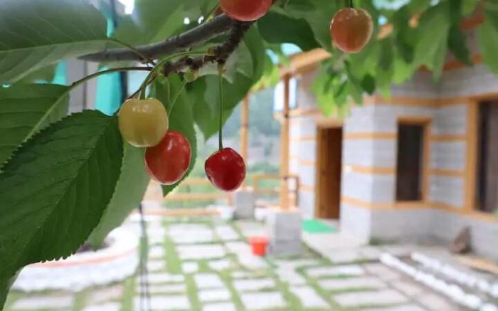 Tree house Bamboo Cottage with beautiful views