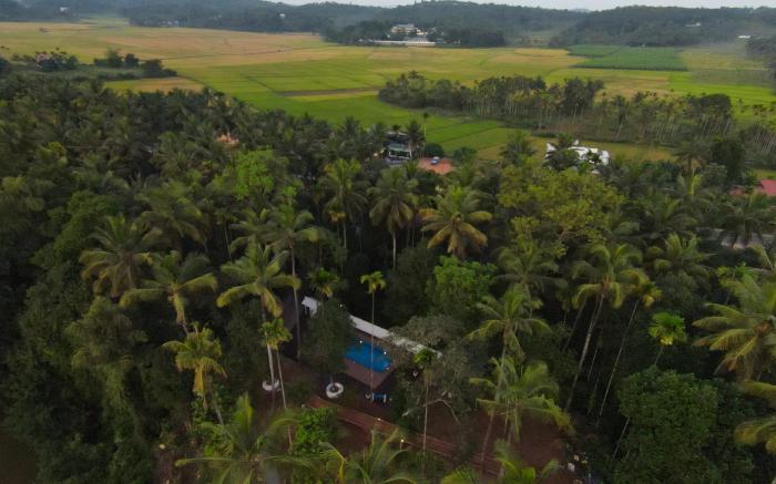Paddyfield Inn