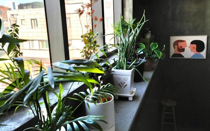 Incheon Airport Hue House (Double Room B)