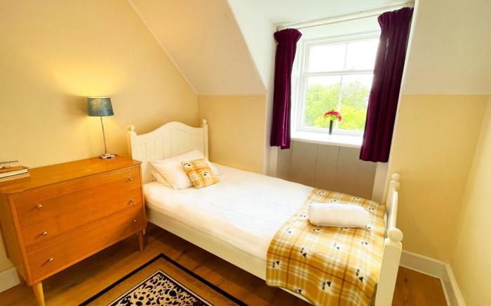 Catcune Family Suite