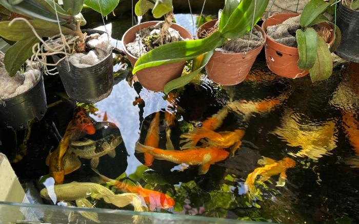 Pho Bien Guest House Phan Thiet