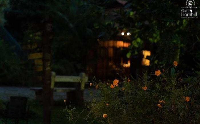 Great Hornbill Resorts